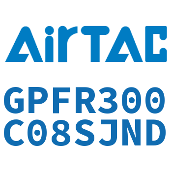 调压精密过滤器 GPFR300C08SJND