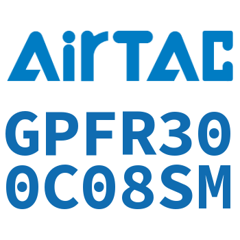 调压精密过滤器 GPFR300C08SM
