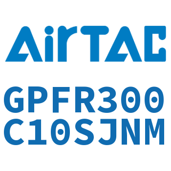 调压精密过滤器 GPFR300C10SJNM