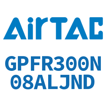 调压精密过滤器 GPFR300N08ALJND