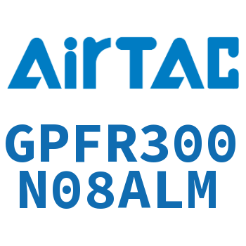 调压精密过滤器 GPFR300N08ALM