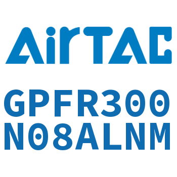 调压精密过滤器 GPFR300N08ALNM