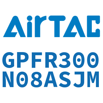 调压精密过滤器 GPFR300N08ASJM