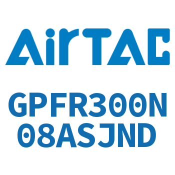 调压精密过滤器 GPFR300N08ASJND