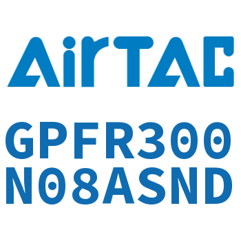 调压精密过滤器 GPFR300N08ASND