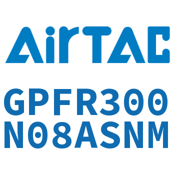 调压精密过滤器 GPFR300N08ASNM
