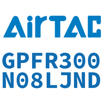 调压精密过滤器 GPFR300N08LJND