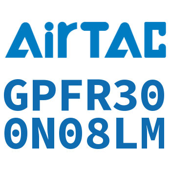 调压精密过滤器 GPFR300N08LM