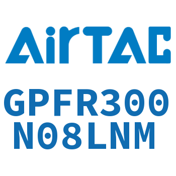 调压精密过滤器 GPFR300N08LNM