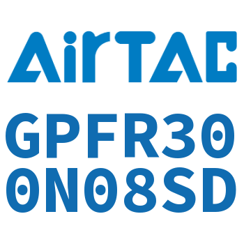 调压精密过滤器 GPFR300N08SD