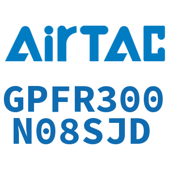 调压精密过滤器 GPFR300N08SJD