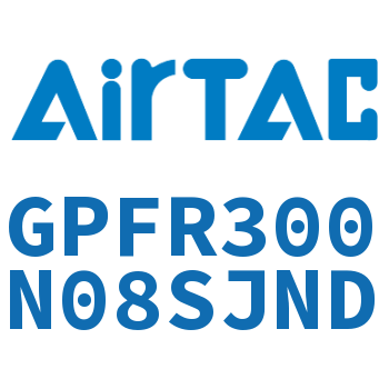 调压精密过滤器 GPFR300N08SJND