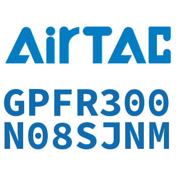 调压精密过滤器 GPFR300N08SJNM