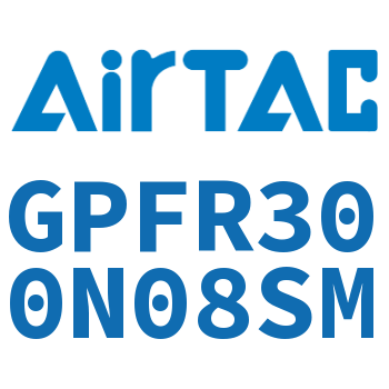 调压精密过滤器 GPFR300N08SM