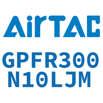 调压精密过滤器 GPFR300N10LJM