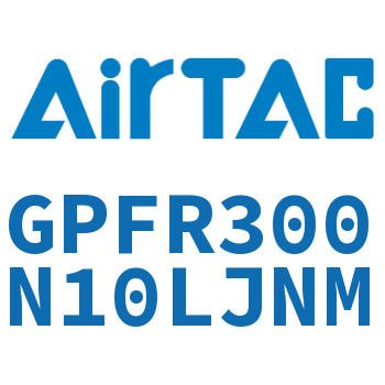 调压精密过滤器 GPFR300N10LJNM