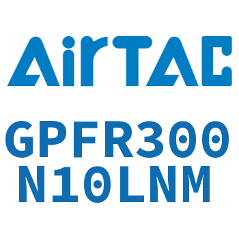 调压精密过滤器 GPFR300N10LNM