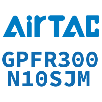调压精密过滤器 GPFR300N10SJM
