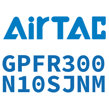 调压精密过滤器 GPFR300N10SJNM