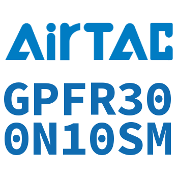 调压精密过滤器 GPFR300N10SM