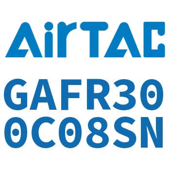 调压过滤器 GAFR300C08SN
