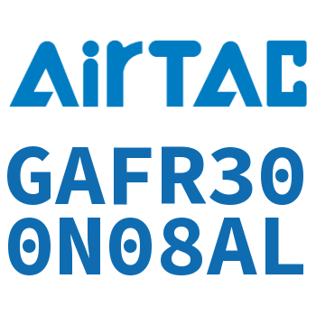 调压过滤器 GAFR300N08AL