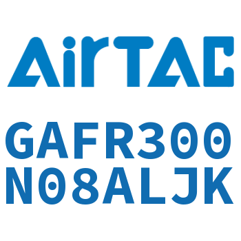 调压过滤器 GAFR300N08ALJK