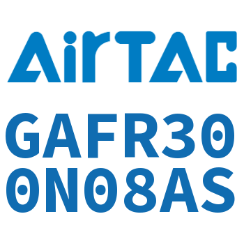 调压过滤器 GAFR300N08AS