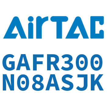 调压过滤器 GAFR300N08ASJK