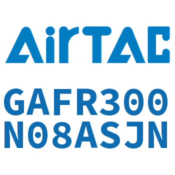 调压过滤器 GAFR300N08ASJN