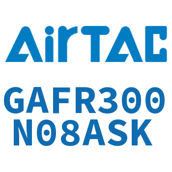 调压过滤器 GAFR300N08ASK