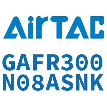 调压过滤器 GAFR300N08ASNK