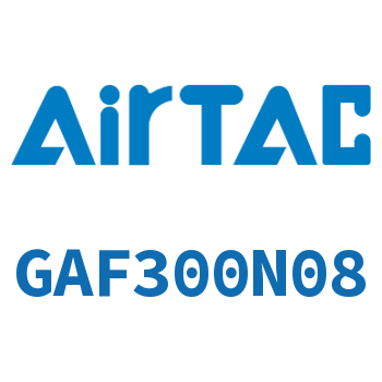 过滤器 GAF300N08