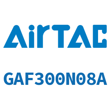 过滤器 GAF300N08A