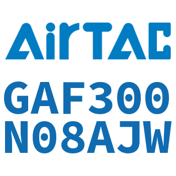 过滤器 GAF300N08AJW