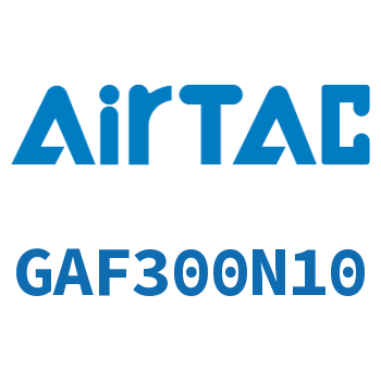 过滤器 GAF300N10