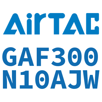 过滤器 GAF300N10AJW