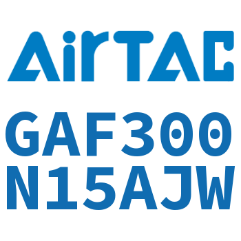 过滤器 GAF300N15AJW