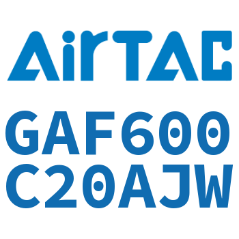 过滤器 GAF600C20AJW