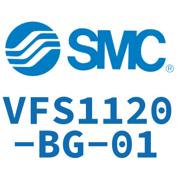 The electromagnetic valve-VFS1120-BG-01