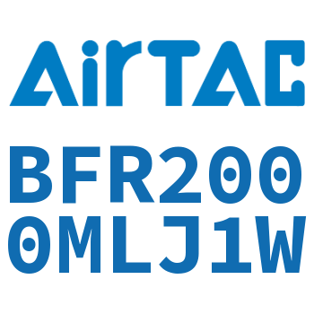 过滤器 BFR2000MLJ1W