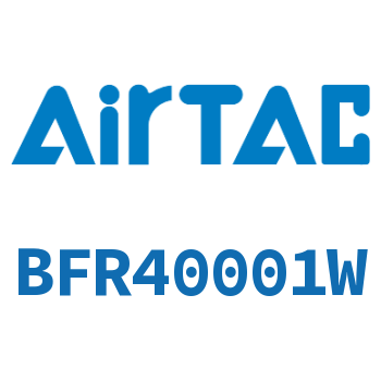 过滤器 BFR40001W