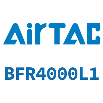 过滤器 BFR4000L1