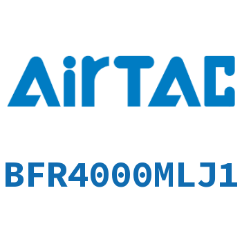 过滤器 BFR4000MLJ1