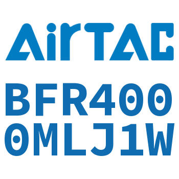 过滤器 BFR4000MLJ1W