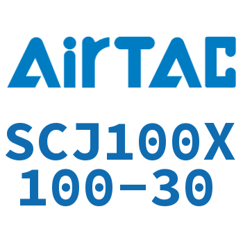 Standard cylinder-SCJ100X100-30
