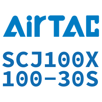 Standard cylinder-SCJ100X100-30S