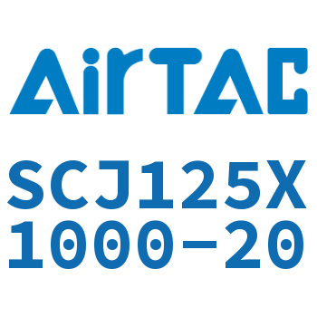 Standard cylinder-SCJ125X1000-20