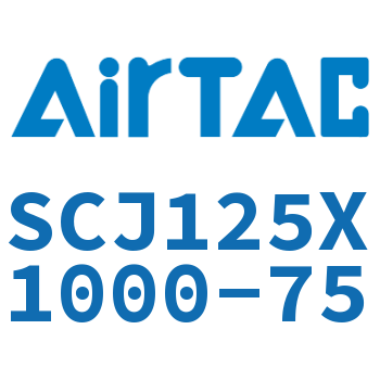 Standard cylinder-SCJ125X1000-75