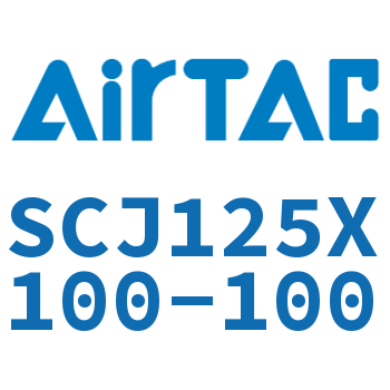 Standard cylinder-SCJ125X100-100